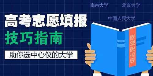 志愿应该如何报更好（志愿应该如何报更好的班级）