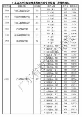 平行志愿艺术广东省（广东平行志愿第一志愿重要吗）