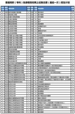 征集志愿录取概率很小吗（征集志愿录取的人多吗）