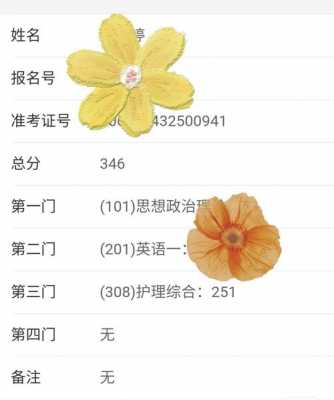 308分报什么志愿（308分能上什么专科学校）