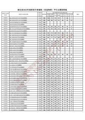 湖北平行志愿9个（湖北平行志愿录取查询）