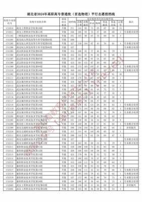 湖北平行志愿9个（湖北平行志愿录取查询）