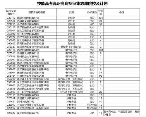 湖北省本一征集志愿（湖北省征集志愿计划）