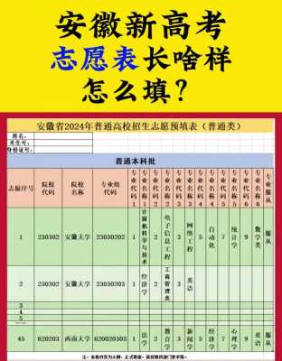 安徽省模拟高考志愿填报（安徽省模拟高考志愿填报系统）