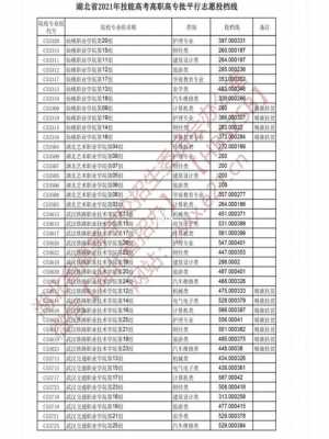 湖北高考志愿线差（湖北高考填志愿2021）