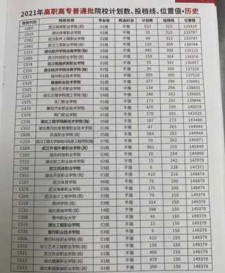 2017湖北省模拟志愿（湖北省2020高考模拟志愿填报）