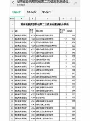 湖南省专科院校志愿投档（湖南2021专科志愿）