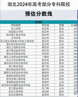 模拟填报志愿2019湖北（模拟志愿填报入口2021年湖北）