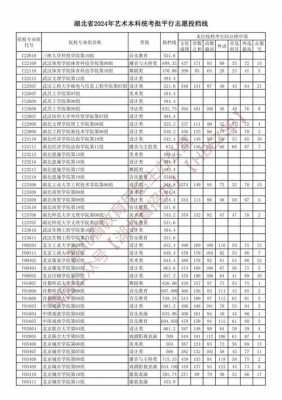 湖北艺考报考志愿（湖北艺考生志愿填报）