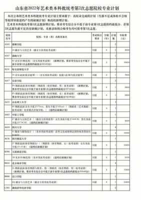 艺术类征集志愿好走吗（艺术征集志愿容易录取吗）