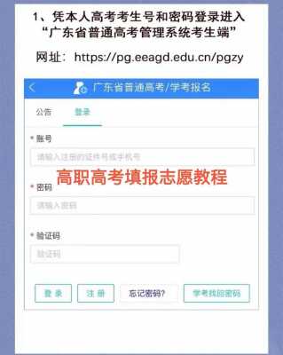 高考志愿填报网页图（高考志愿填报网站的网址是什么）