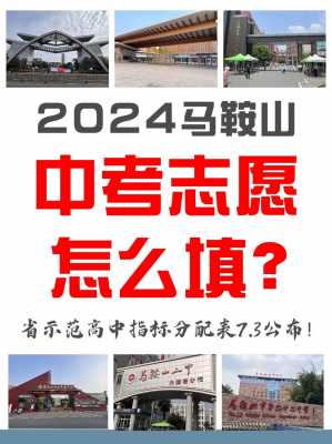 2020马鞍山志愿填报（马鞍山填报志愿的学校）