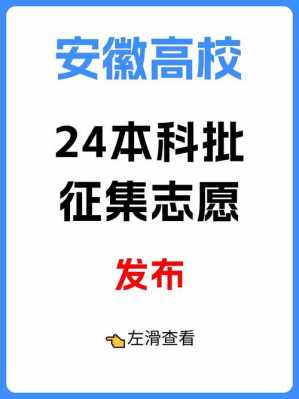 2017安徽2本征集志愿（安徽本科一批征集志愿）