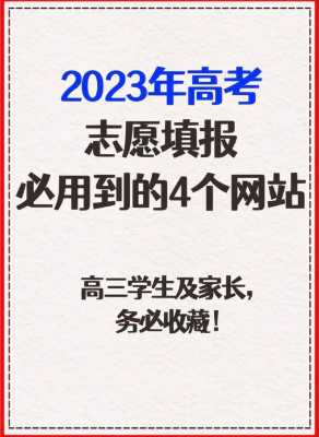 高考志愿网站打不开（高考填报志愿网页打不开）