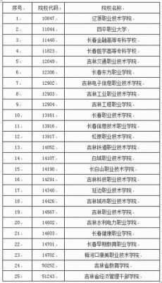 吉林二批征集志愿院校（2021吉林省二批征集志愿学校）