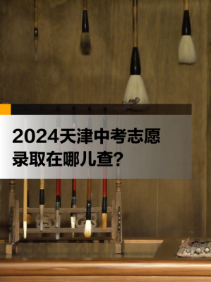 志愿录取几率查询（2021年志愿录取在哪查询）