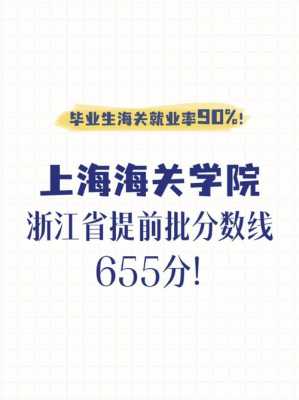 上海海关学院志愿编号（上海海关学院志愿编号怎么查）