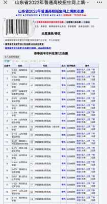 河北专科平行志愿有几个（河北96个平行志愿怎样录取）