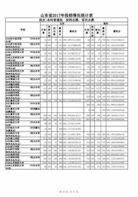 2017山东高考志愿批次（2017山东高考投档表）